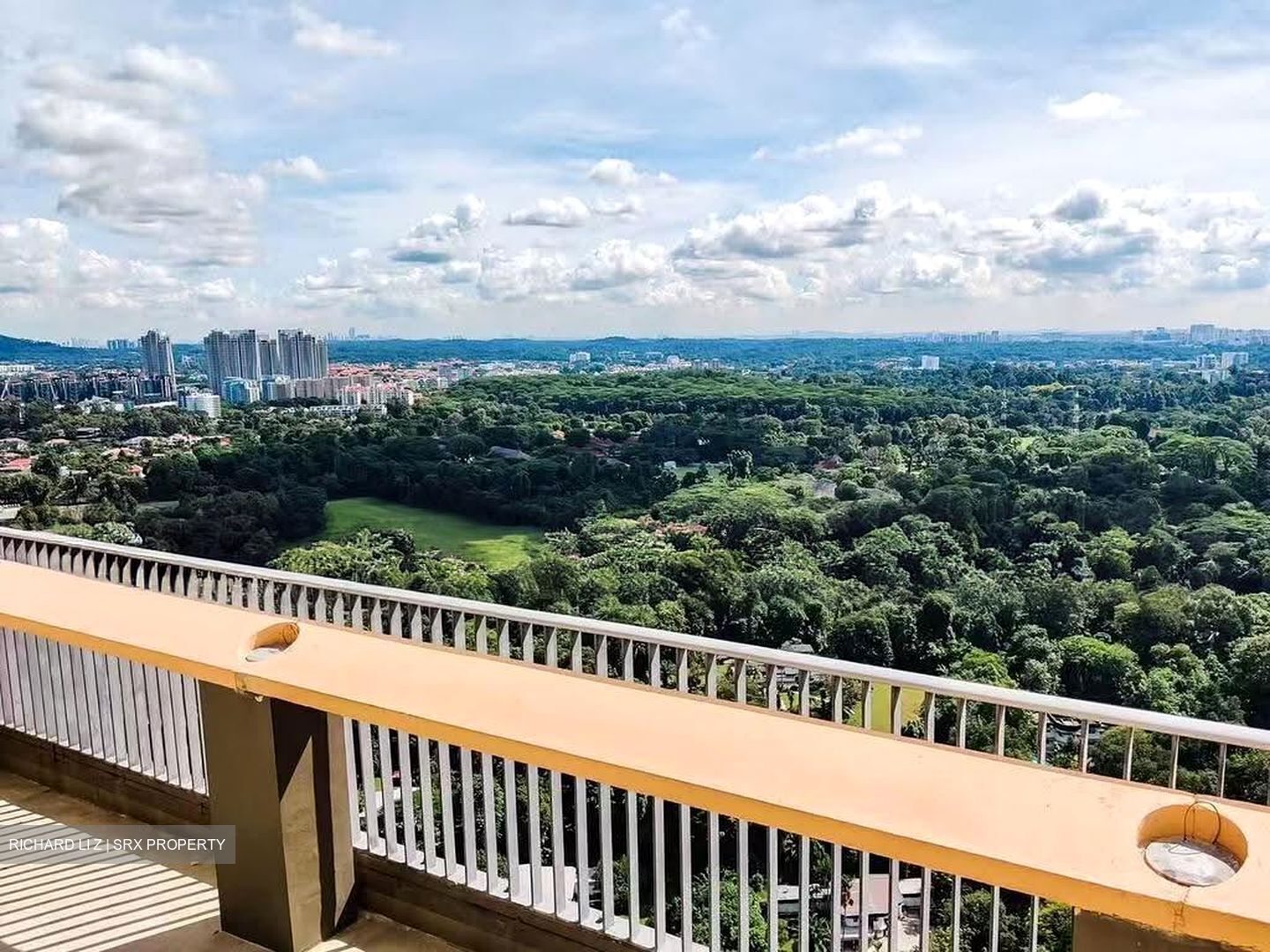 Blk 87 Skyville @ Dawson (Queenstown), HDB 4 Rooms #618890871